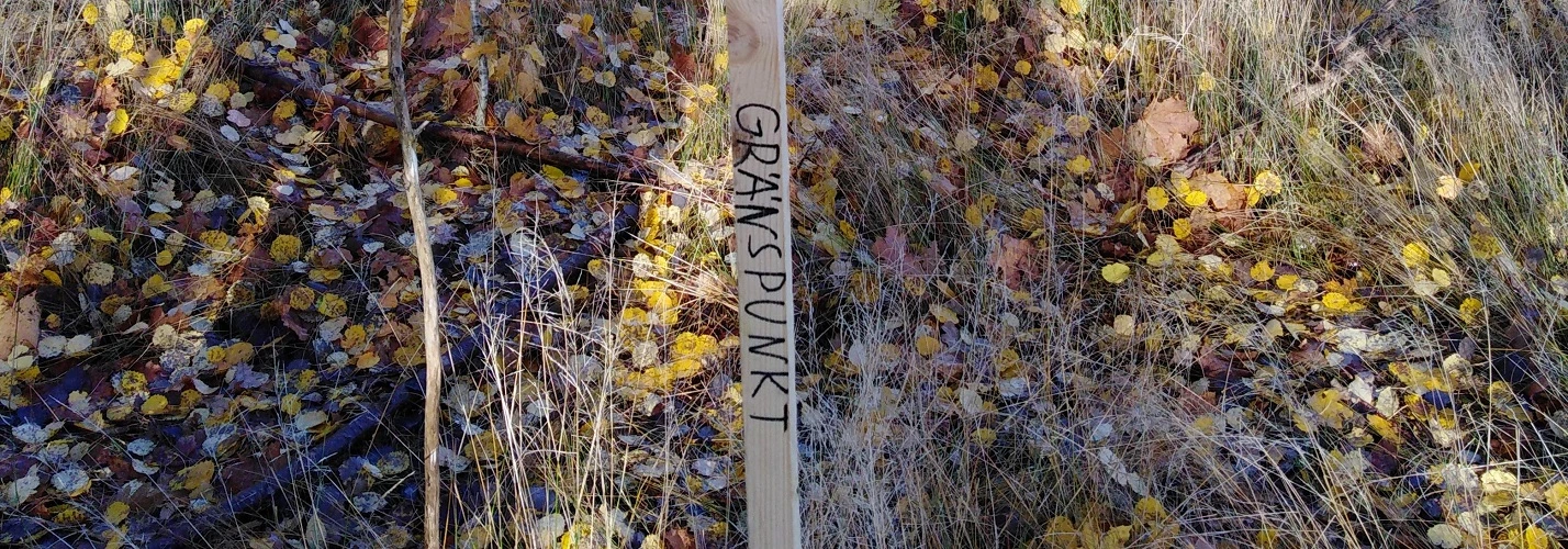 Gränser